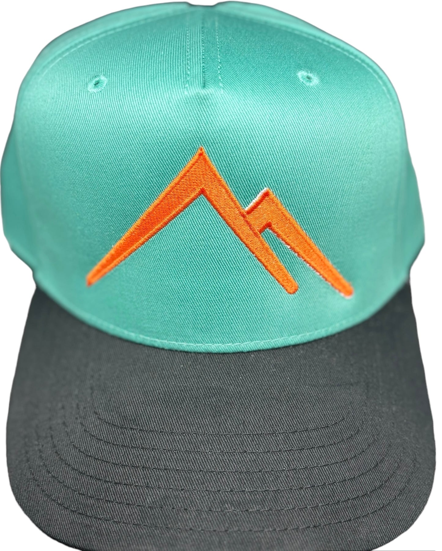 MSC “MOVE MOUNTAINS” SNAPBACK
