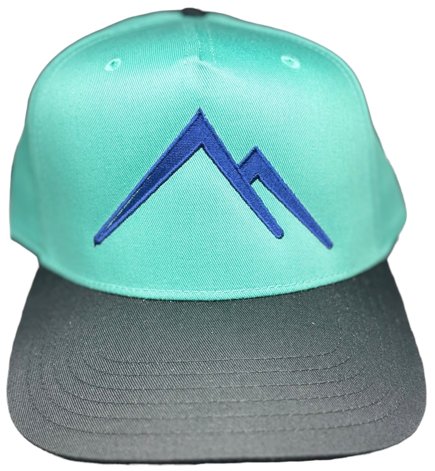 MSC “MOVE MOUNTAINS” SNAPBACK